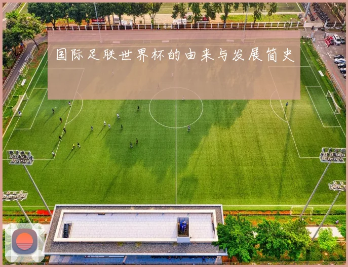 国际足联世界杯的由来与发展简史