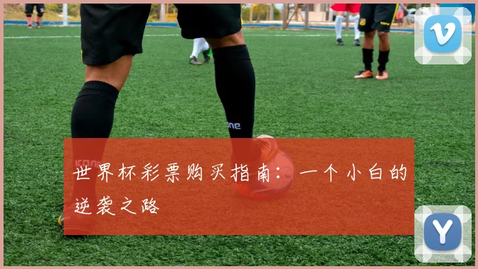 世界杯彩票购买指南：一个小白的逆袭之路