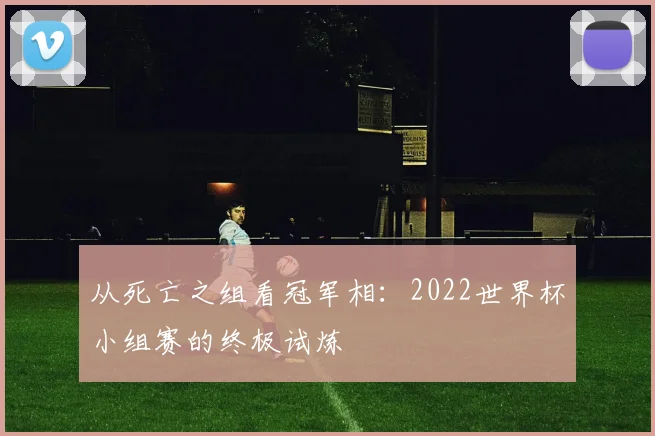 从死亡之组看冠军相:2022世界杯小组赛的终极试炼