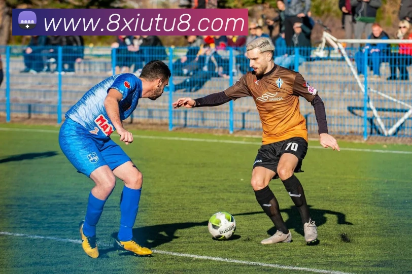 App Interface Preview